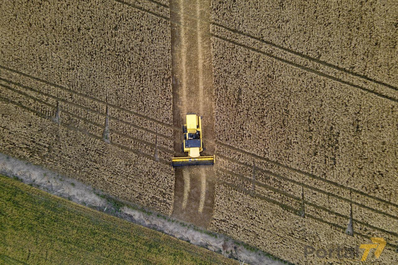 Paraná terá maior crescimento da produção agrícola entre estados do Sul e Sudeste em 2025