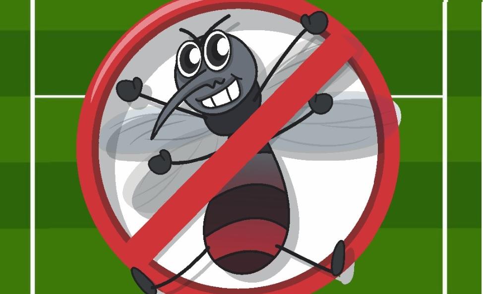 Terra Roxa - Dengue: Um jogo que nunca acaba – o problema e a solução são de todos