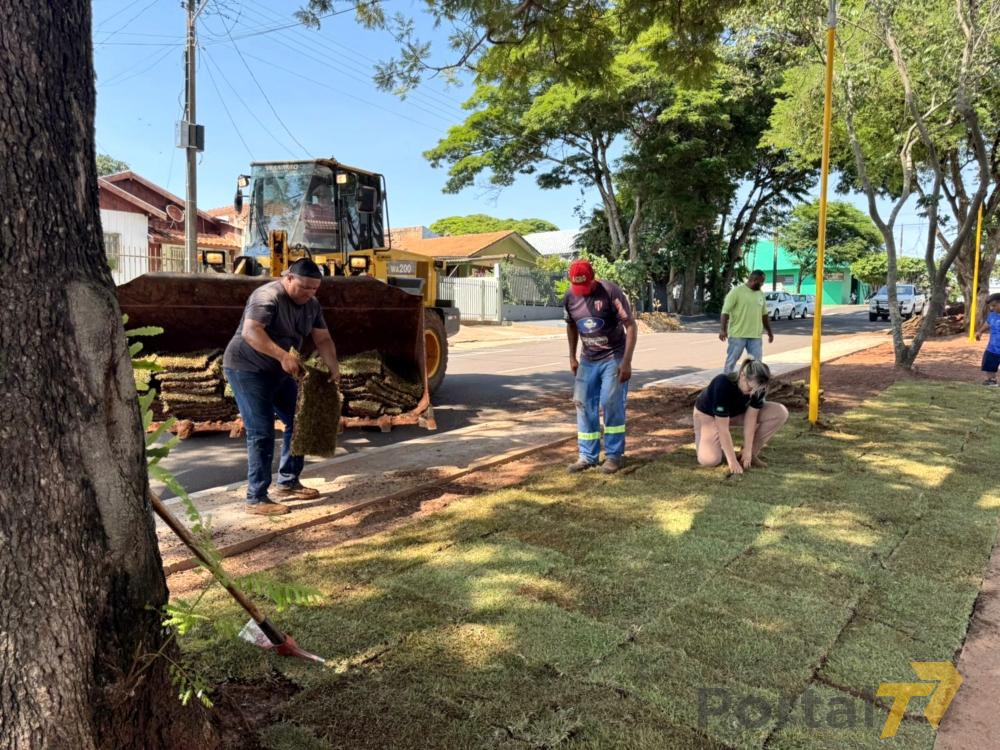Terra Roxa - Revitalização da Avenida Getúlio Vargas Avança com Plantio de Grama no Canteiro Central