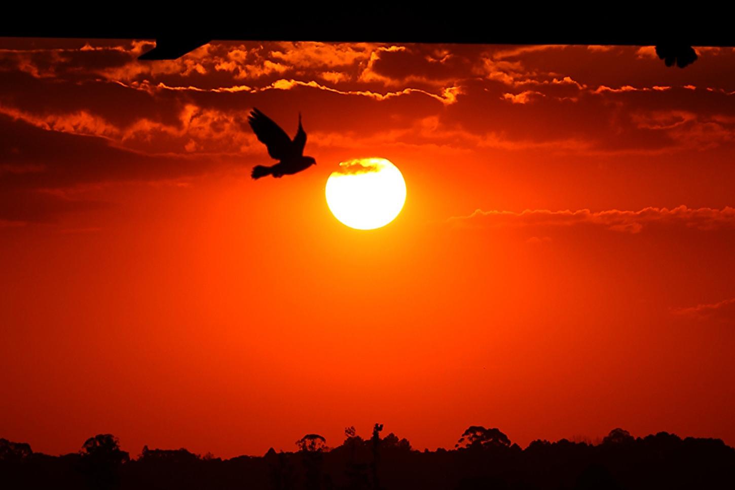 Chuvas perdem força e temperaturas seguem altas em março no Paraná, prevê Simepar