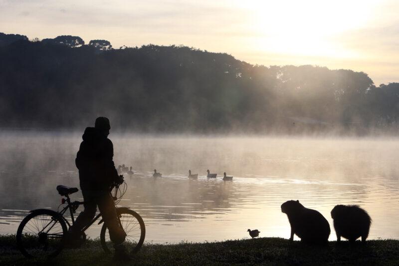 Primeira onda de frio do ano prevê termômetros a 8ºC no Paraná