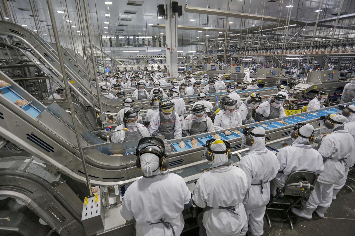 Mercado de empregos aquecido: Paraná tem 23 mil vagas abertas nessa semana