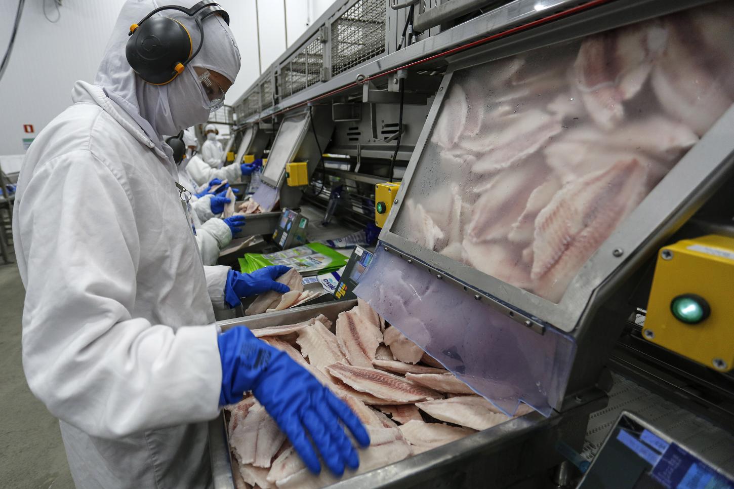 Receita na exportação de pescados do Paraná cresce mais de 4.600% em cinco anos