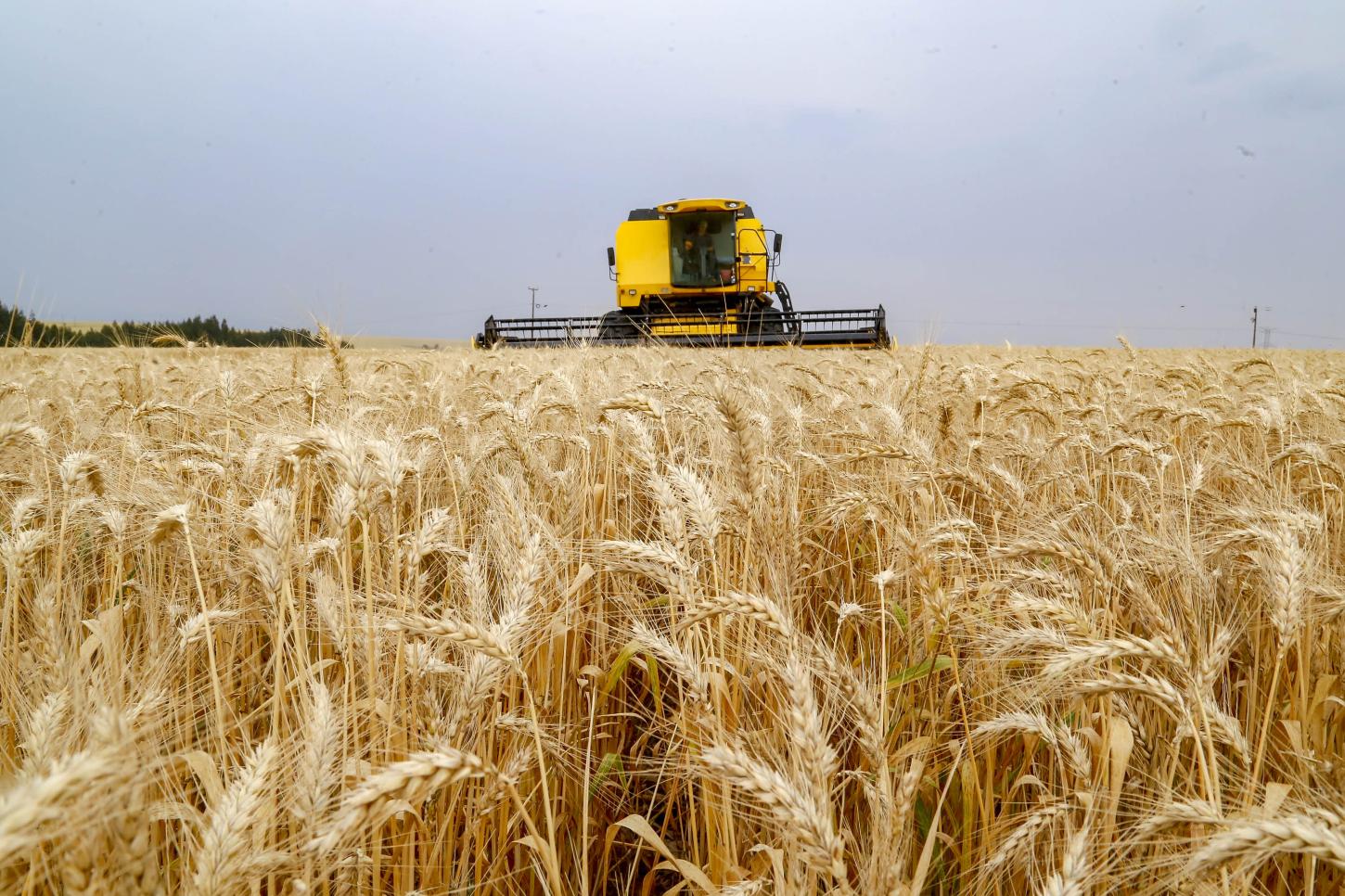 Secretaria da Agricultura orienta produtores do Paraná sobre mudanças no Plano Safra