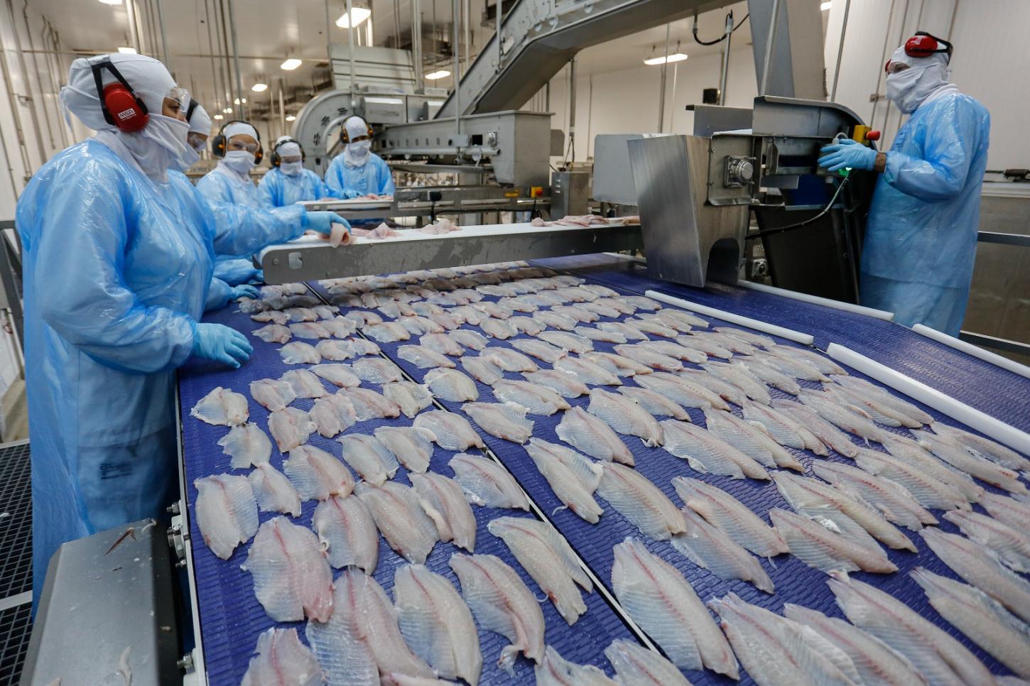 Com aumento de 8,7% na pecuária, Palotina está entre as 9 cidades maiores produtoras do Brasil