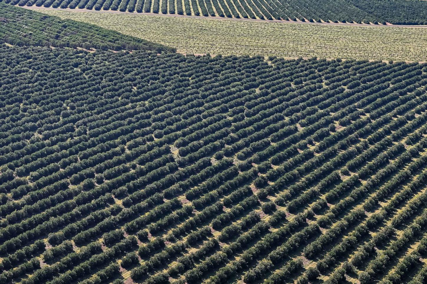 Paraná é o estado que mais destinou recursos para a agricultura em 2025