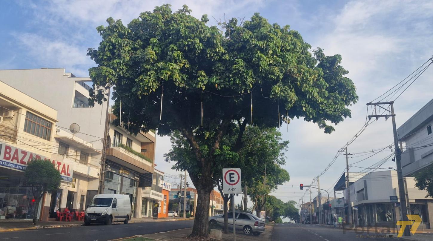 Terra Roxa antecipa decoração natalina e prepara grandes eventos