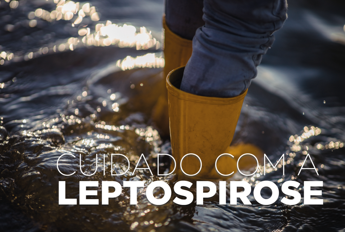 Leptospirose é doença grave e risco aumenta após chuvas