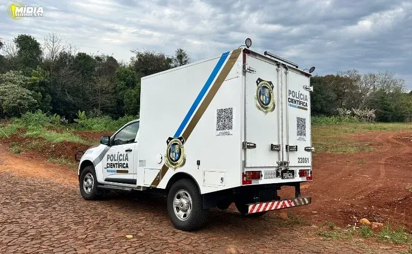 Ao bater máquina agrícola contra árvore, idoso é atacado por abelhas e morre