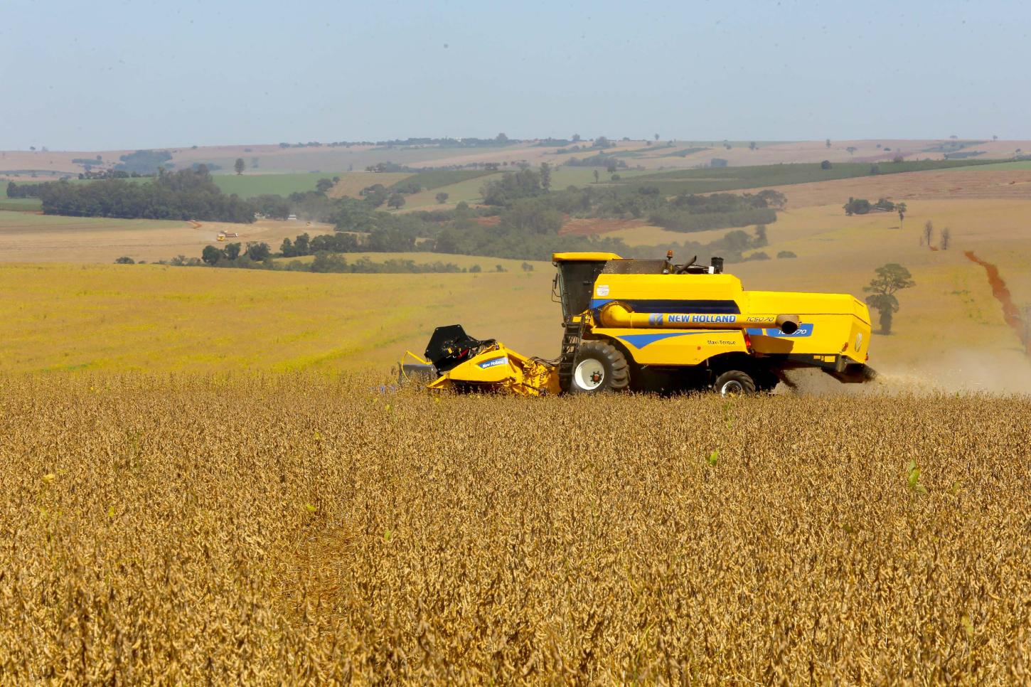 Boletim do Deral aponta que safra 2026 ganha volume e consolida cenário positivo no Paraná