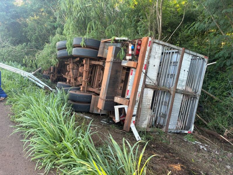 Carreta com carga de porcos tomba na Serrinha da BR-163, entre Mercedes e Guaíra