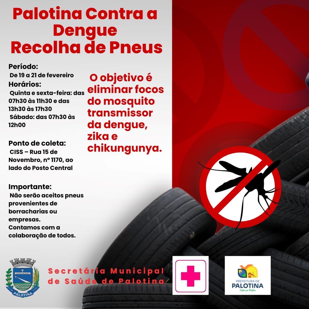 Palotina vai recolher pneus para combater a dengue