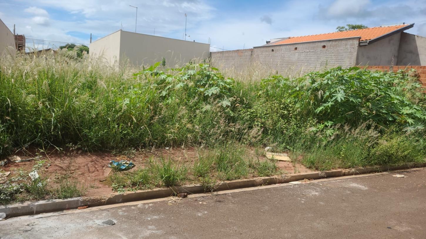 Prefeitura de Terra Roxa divulga calendário anual de roçada e limpeza de lotes baldios