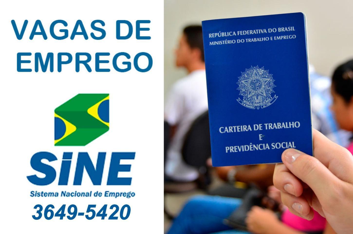SINE de Palotina inicia a semana com 350 vagas de emprego abertas