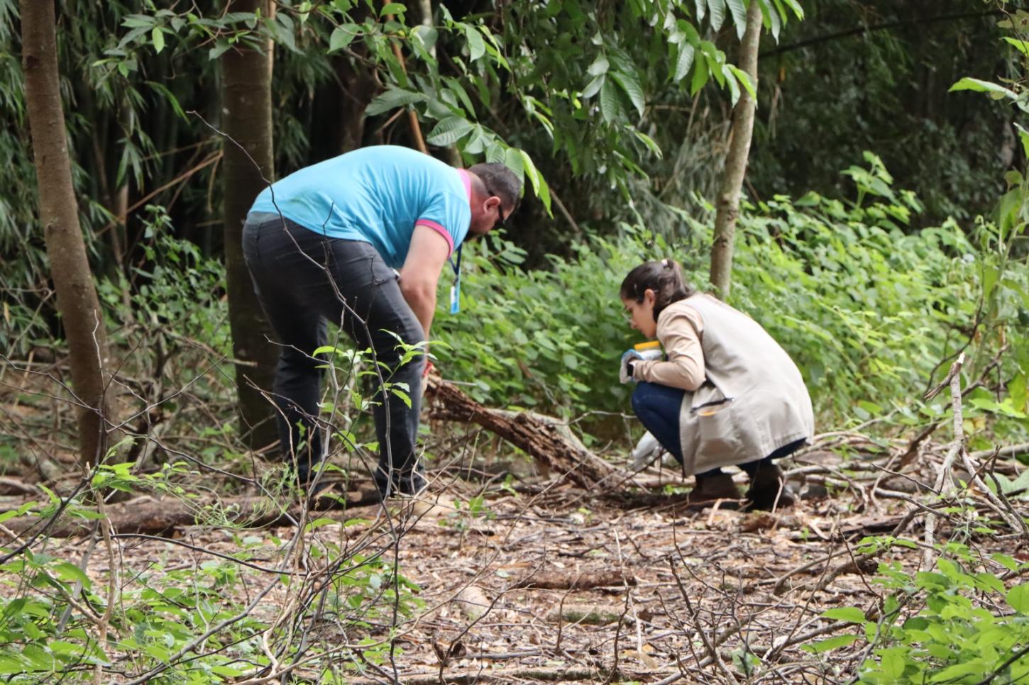 Ação no Parque Ambiental Dona Ida Riedi resulta na captura de 50 escorpiões em Palotina