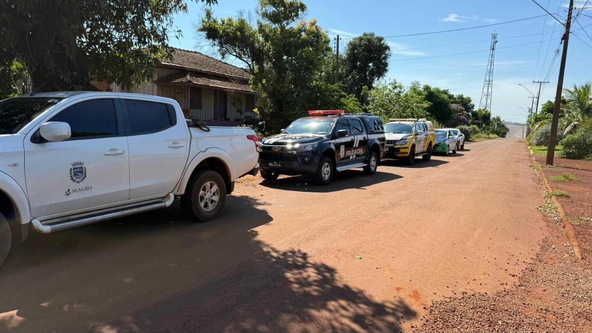 Polícia Civil e Secretaria do Meio Ambiente recolhem 29 animais em Palotina após denúncia de maus-tratos