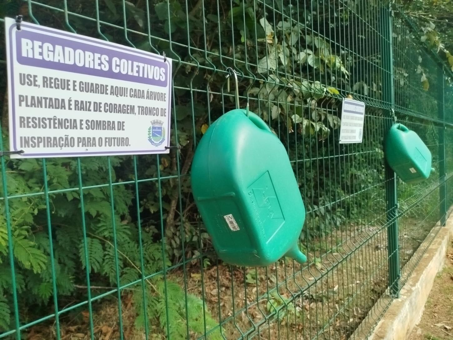Bosque da Mulher é implantado no Lago Municipal e incentiva cuidado coletivo