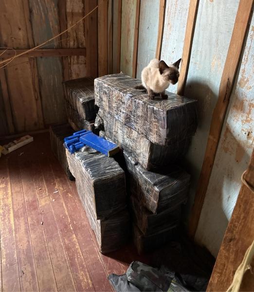 Mais 273 kg de maconha são apreendidos em Mercedes