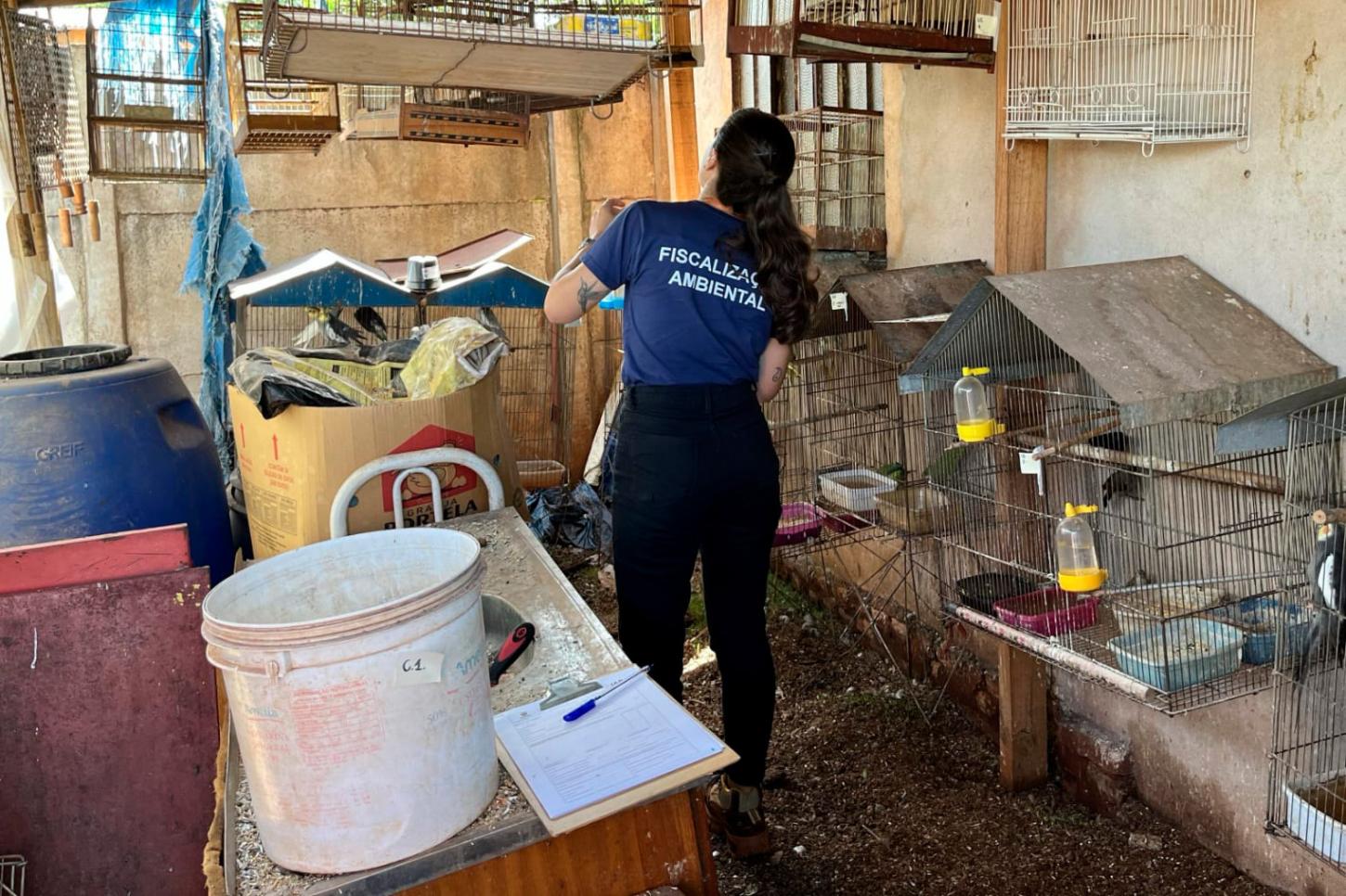 Operação entre IAT e PCPR resgata 42 aves de cativeiro em Assis Chateaubriand