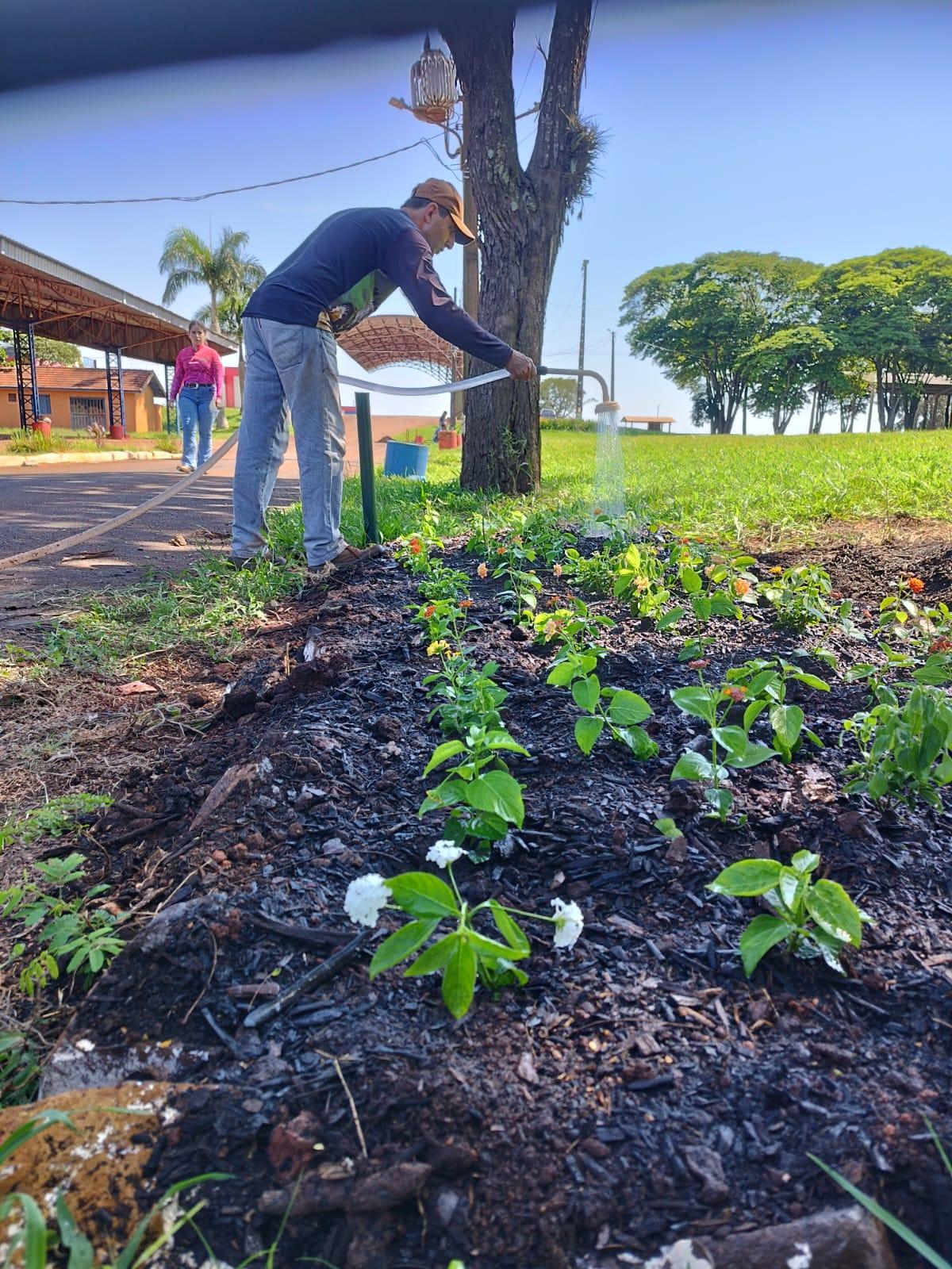 Paisagismo é iniciado no Parque de Exposições para a Expo Palotina