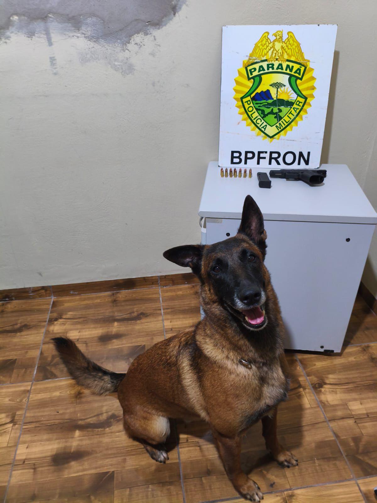 BPFRON apreende arma de fogo e prende homem após abordagem em Terra Roxa