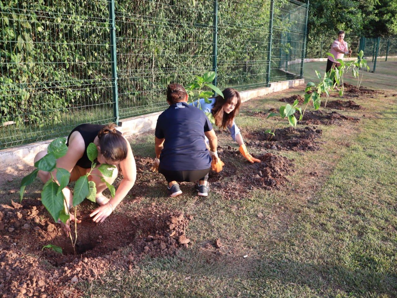 Plantio de mudas marca encerramento da programação do Mês da Mulher em Palotina