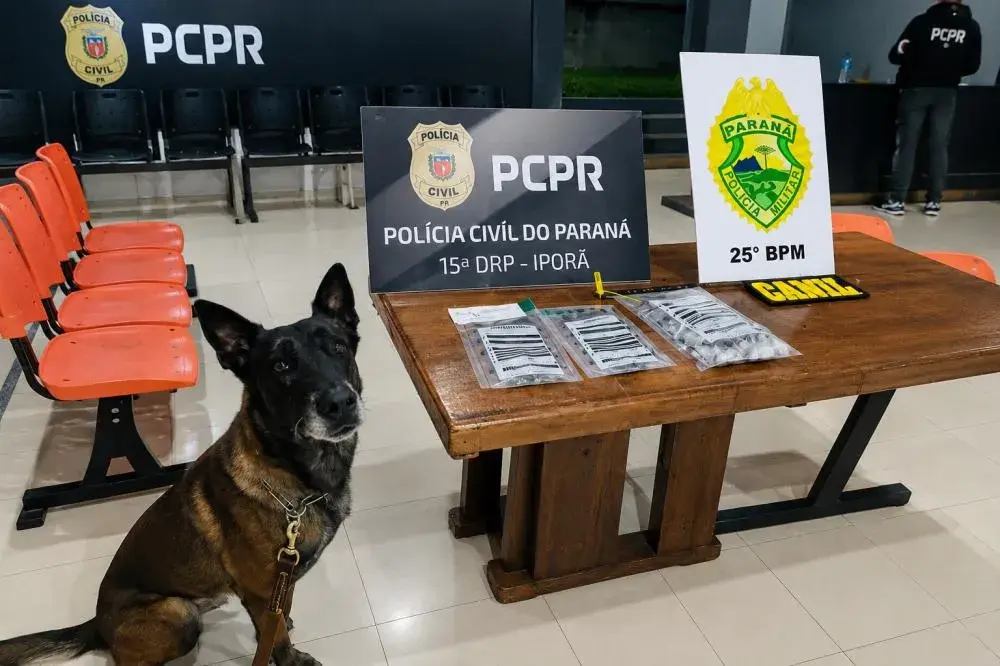 Mãe e filho são presos acusados de tráfico de drogas em Francisco Alves