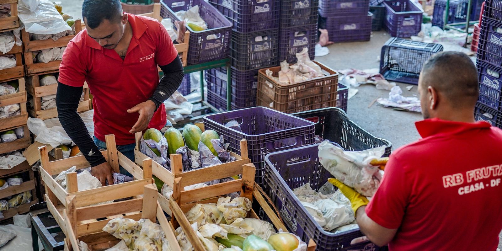 Governo destina R$ 97,3 bilhões para agricultura familiar em novo Plano Safra