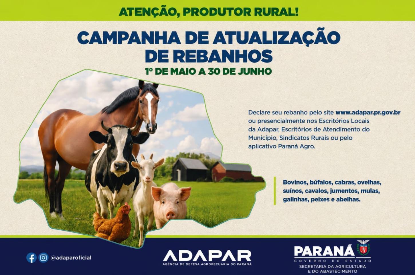 Maripá entra na reta final da atualização obrigatória de rebanhos e reforça alerta aos produtores rurais