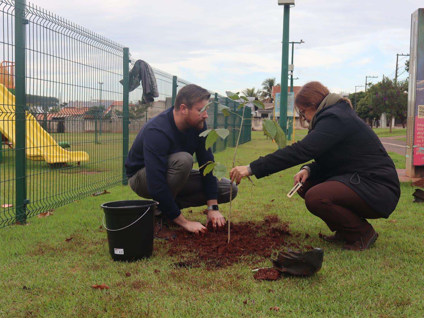 Palotina realiza plantio de árvores em praças para ampliar sombreamento e conforto nos parques infantis