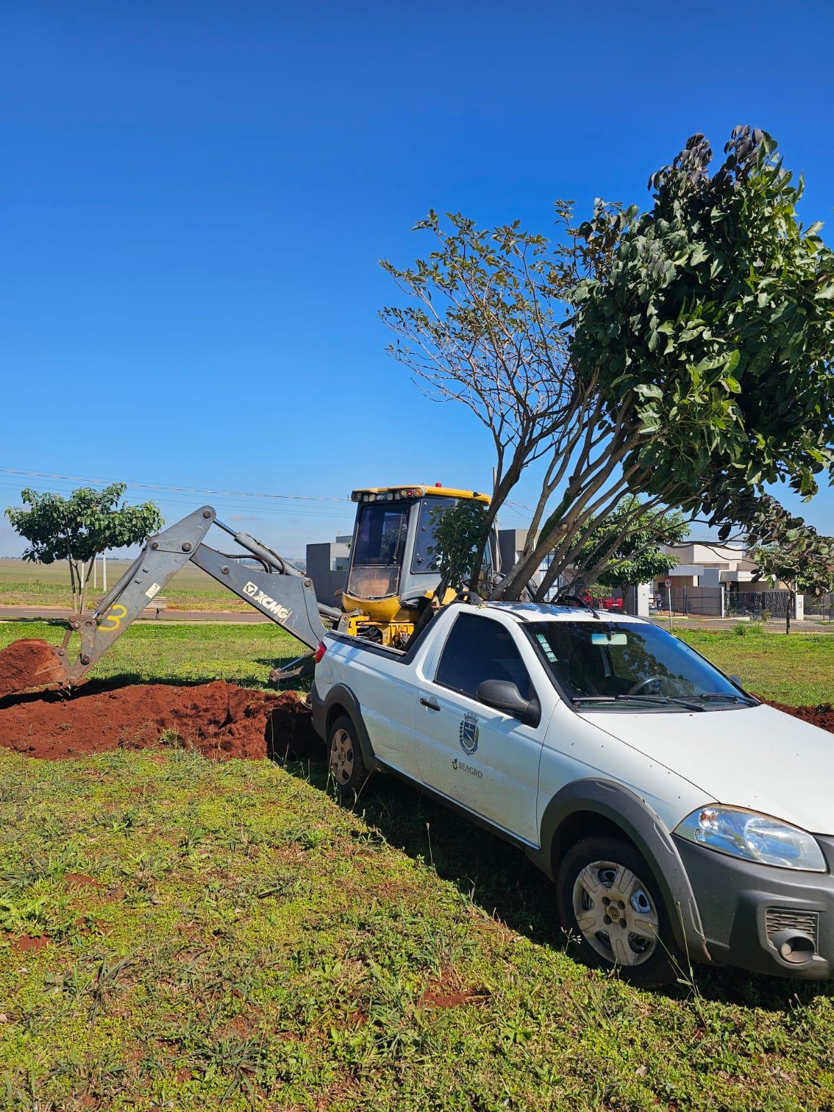 Prefeitura realiza retirada de árvores para replantio em áreas públicas e prepara terreno para construção do CMEI Progresso