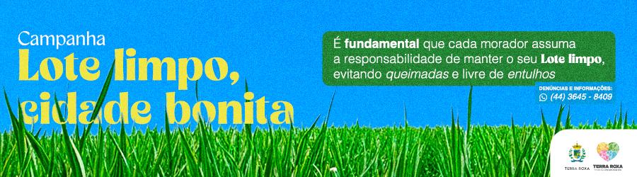 Publicidade