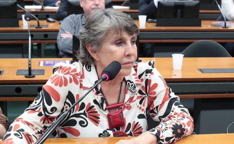 Câmara dos Deputados debate a importância de dados oficiais para políticas públicas efetivas à população LGBTQIA+