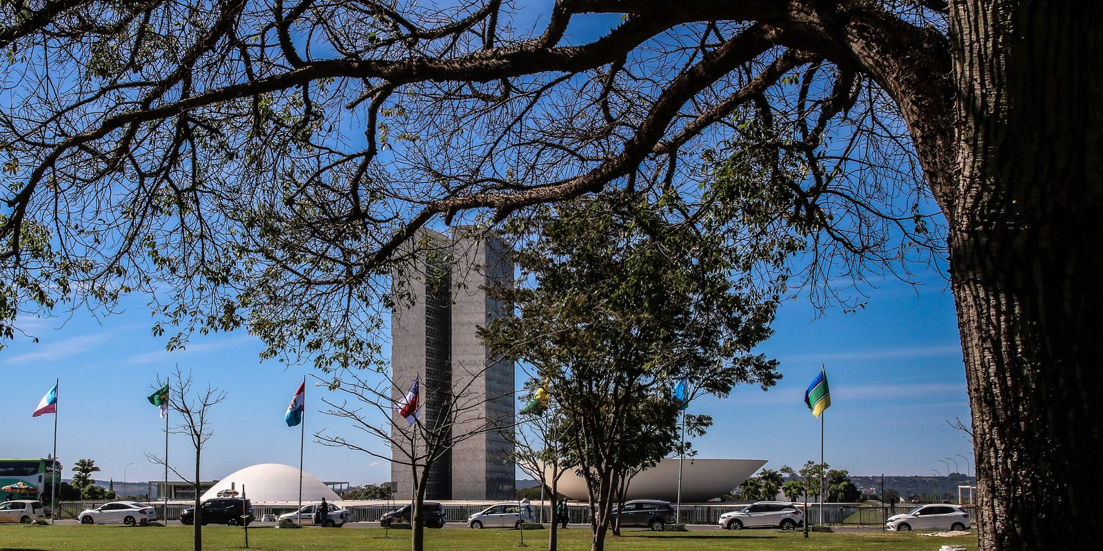 Senado aprova aumento de punição para crimes sexuais online contra crianças e adolescentes