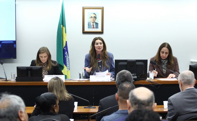 O futuro das licenciaturas a distância divide opiniões em audiência na Câmara