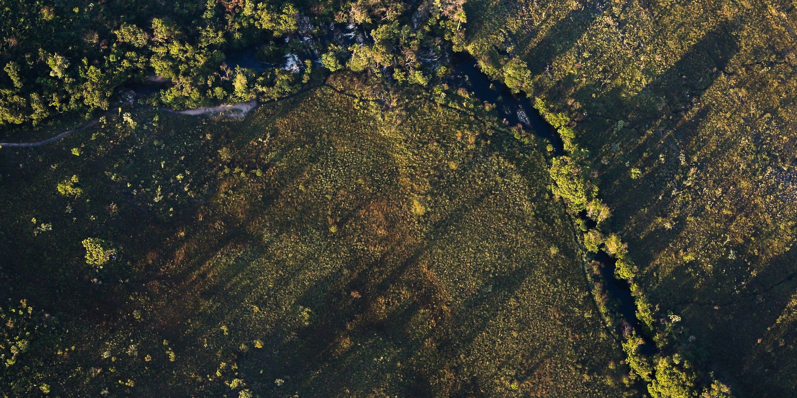 Juros mais baixos são aprovados para crédito rural sustentável via Fundos Constitucionais