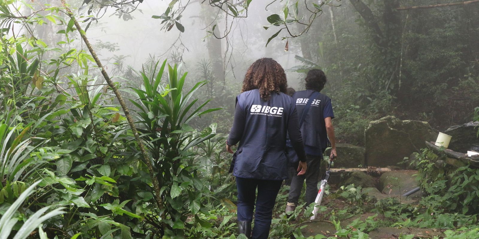 Prazo final para inscrições na seleção do IBGE para o Censo Agropecuário é nesta quinta-feira