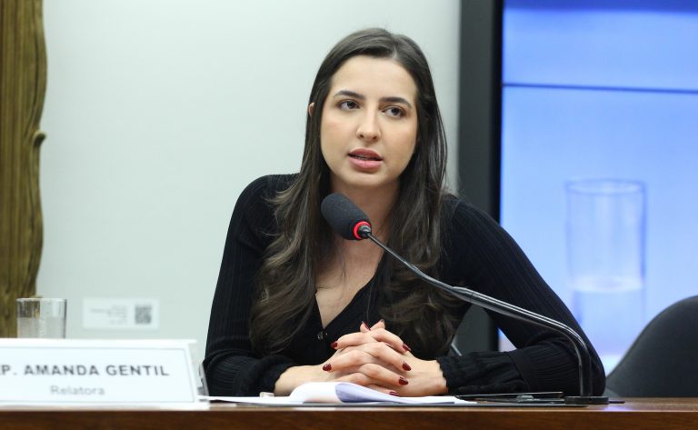 Câmara analisa projeto que cria sistema de monitoramento de medidas protetivas e suspende porte de arma de agressor