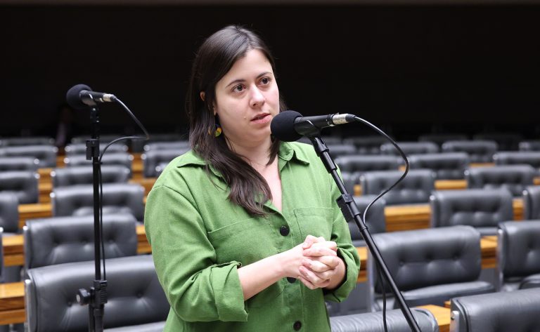 Proposta na Câmara restringe acesso a armas de fogo para quem tem medidas protetivas de urgência
