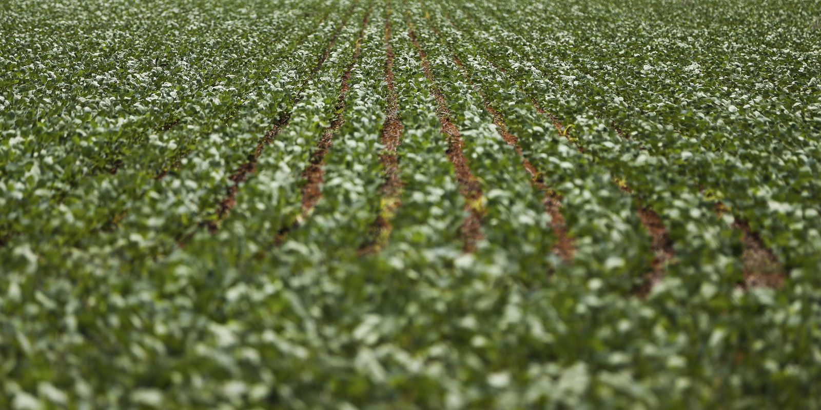 Reunião entre governo e bancada do agro encerra sem consenso sobre dívidas rurais