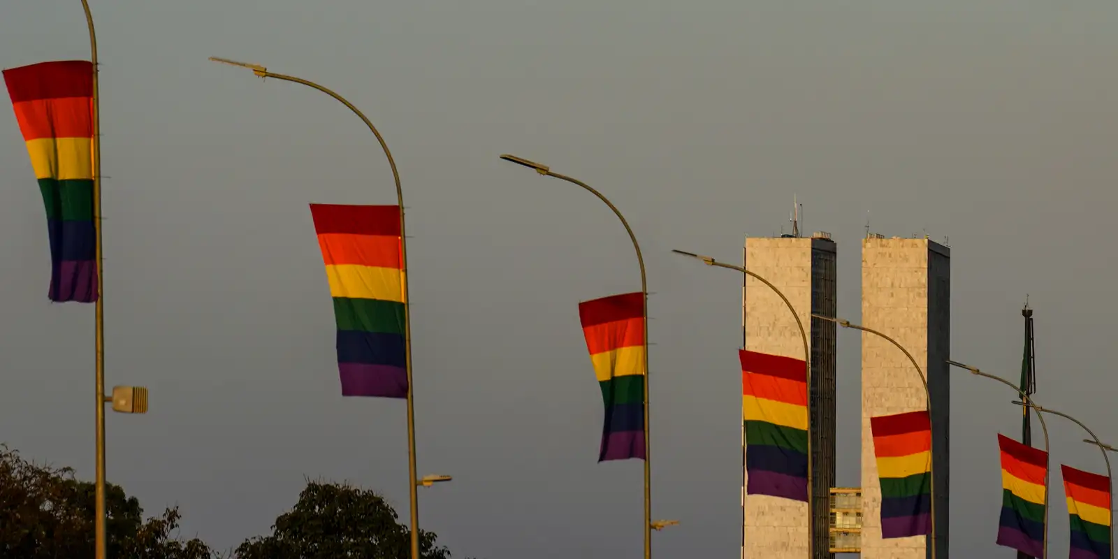Candidaturas LGBT+ batem recorde em 2026 com alta expressiva em diversos partidos
