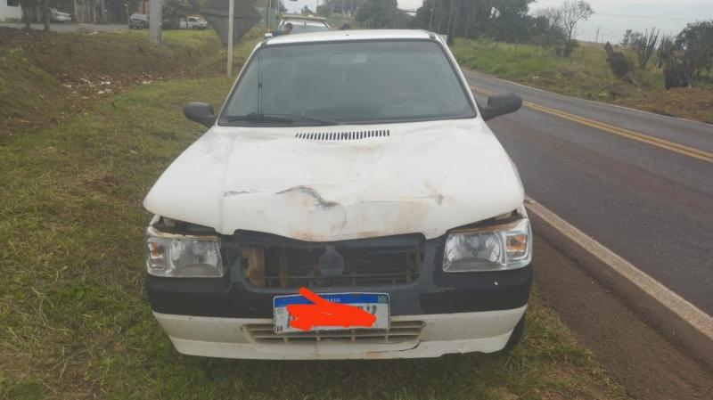 Carro atropela cavalo solto na PR-364, em Terra Roxa