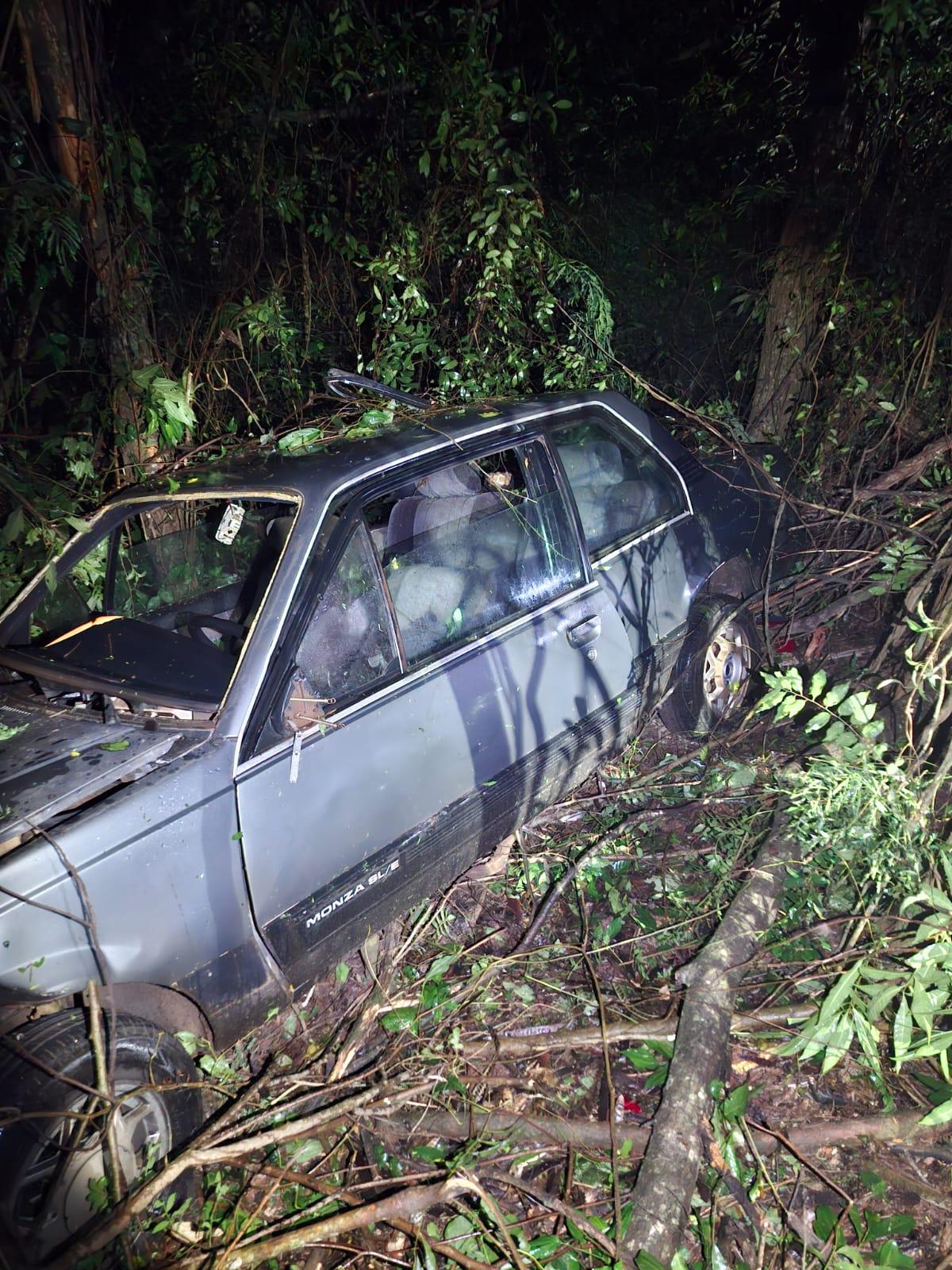 Motorista fica ferido após sair da pista e colidir contra árvores na PR-364, em Palotina