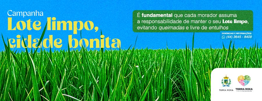 Publicidade
