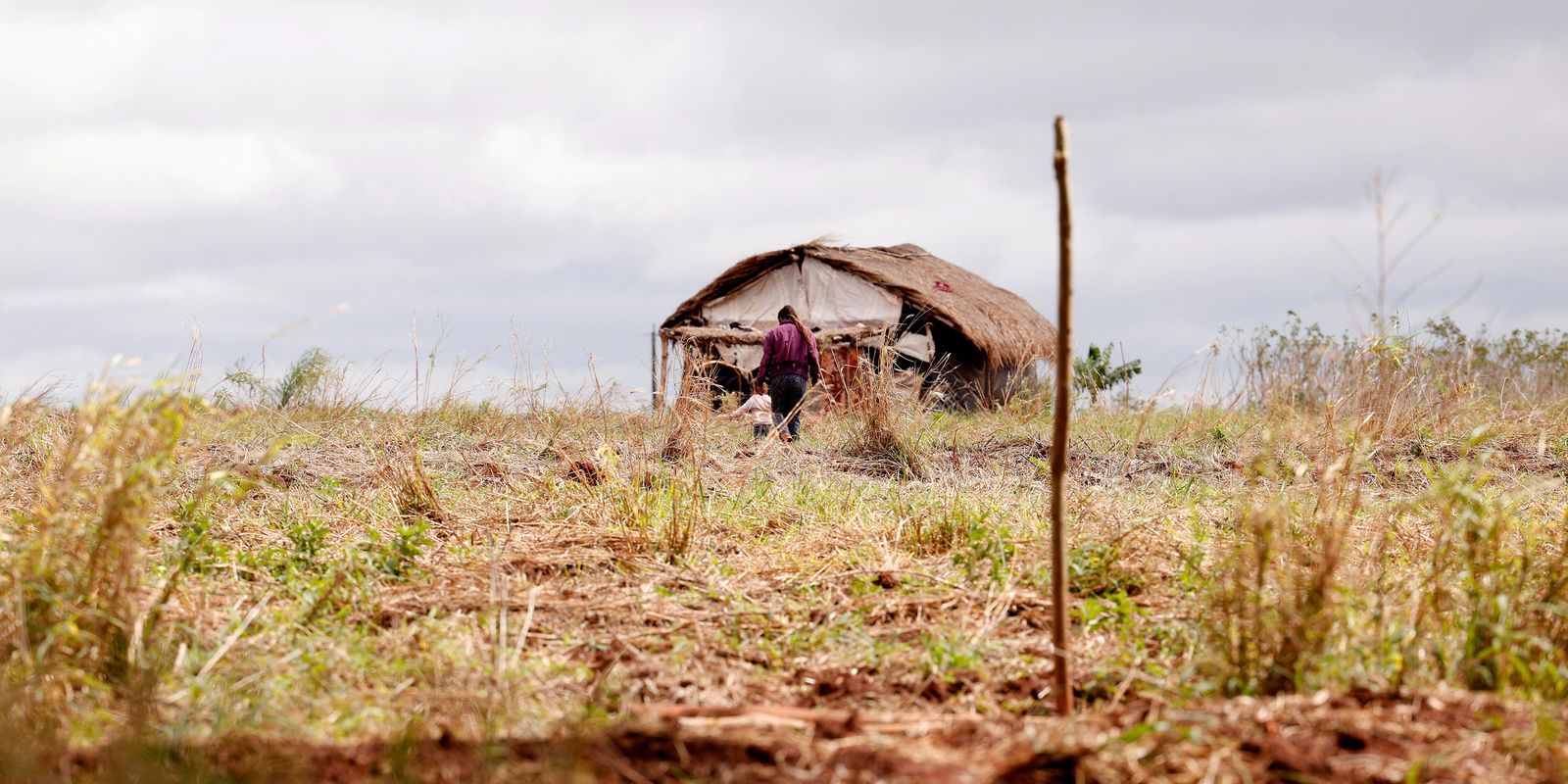 Brasil registra redução de mortes, mas vê alta em conflitos no campo