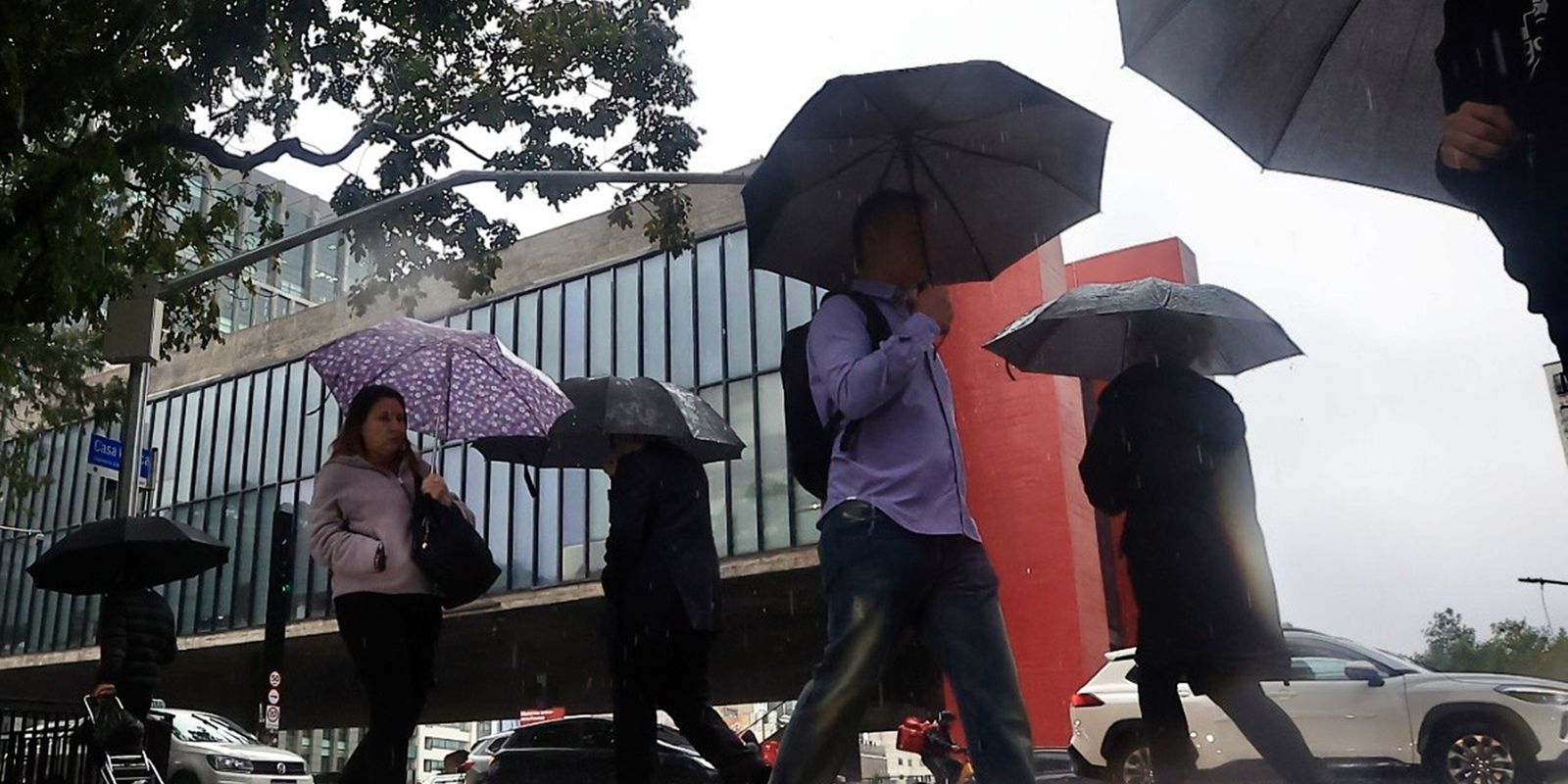 Seis cidades paulistas decretam alerta após fortes chuvas no Vale do Ribeira