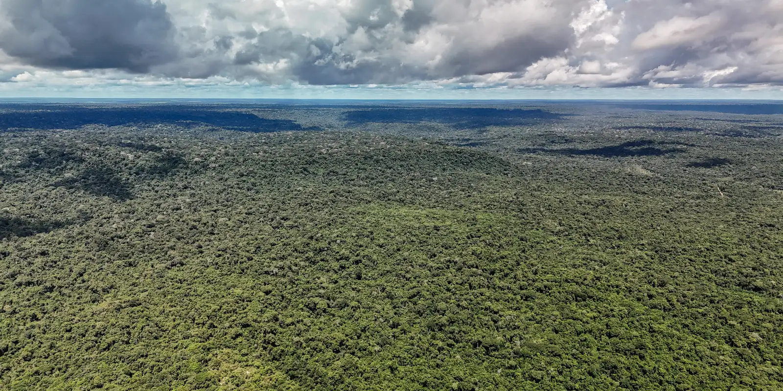 Fazenda libera crédito de US$ 1 bilhão do BID para o Eco Invest Brasil