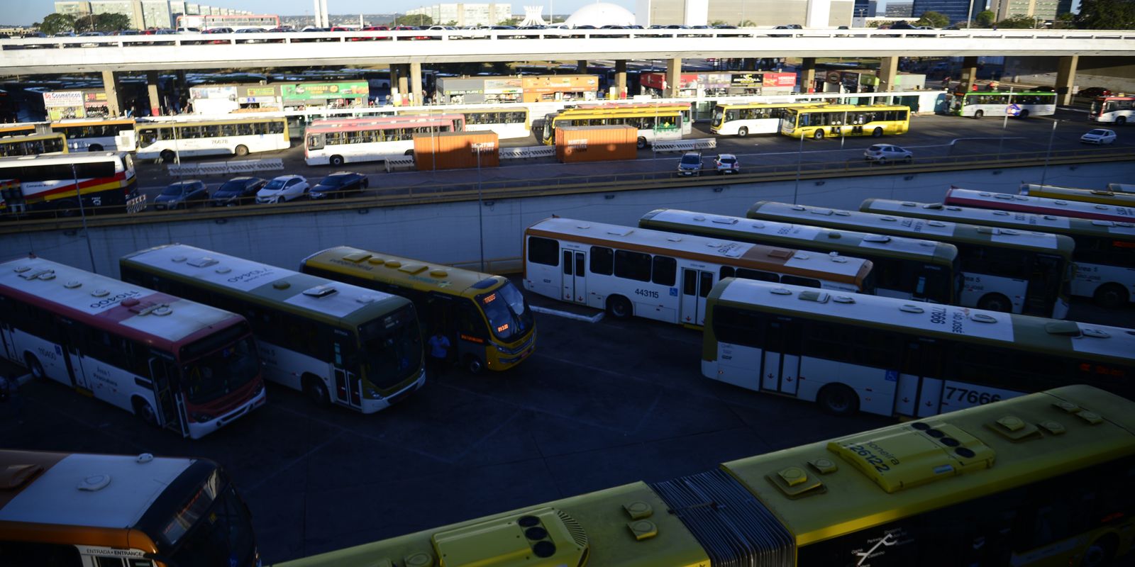Nunes Marques cobra TREs sobre transporte público gratuito nas eleições