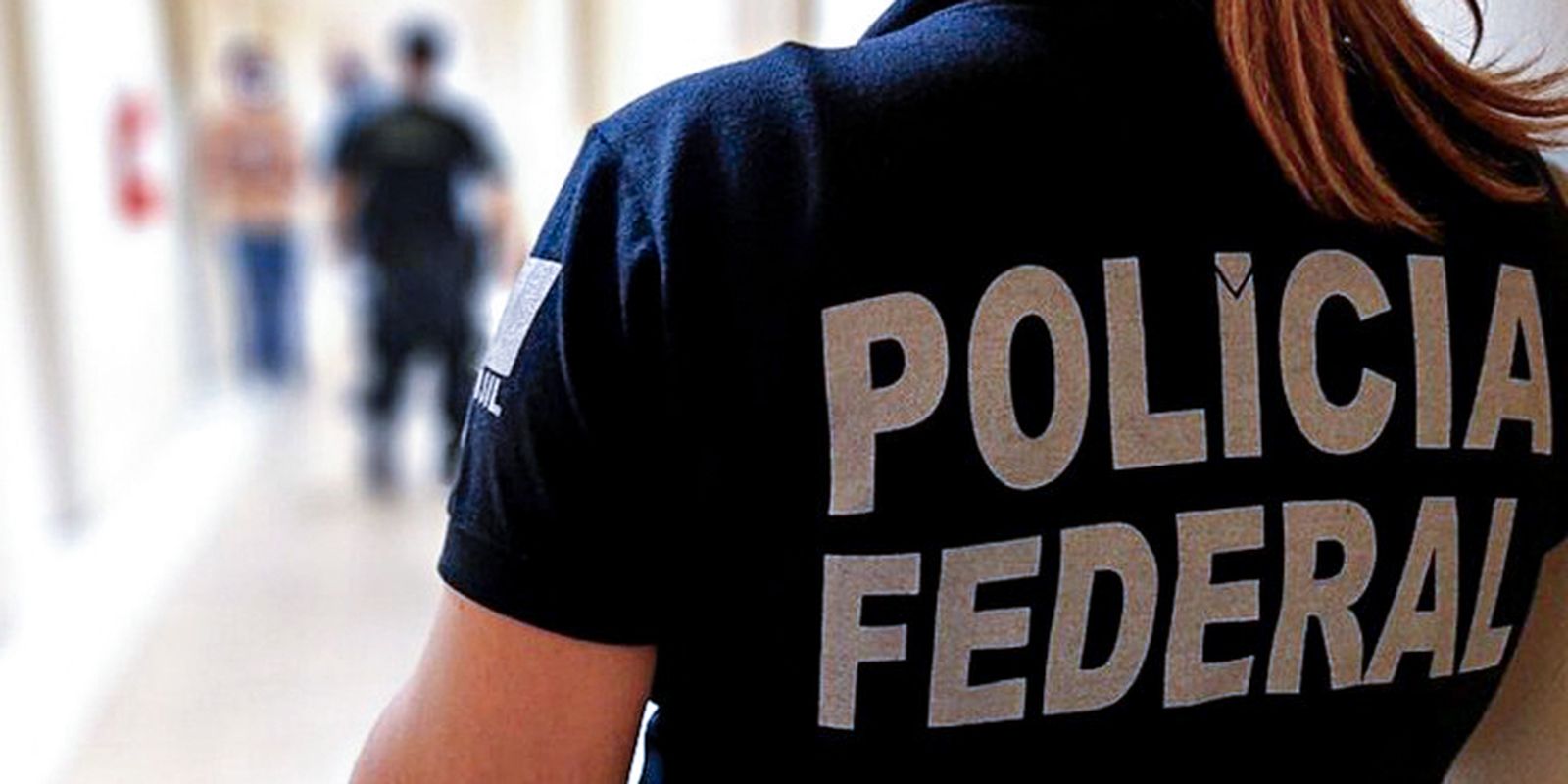 PF deflagra Operação Polaridade contra fraudes no registro de armas para CACs