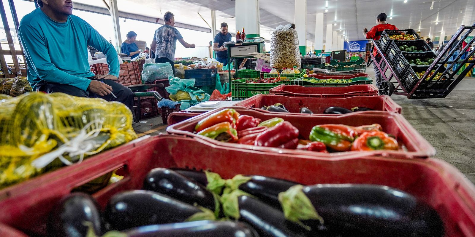 Nova campanha nacional mobiliza a sociedade contra o desperdício de alimentos